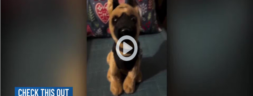 Colorado Springs K9 Roam stuffed animal