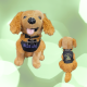 Nottingham Knights K9 Millie Fund Raiser Dog